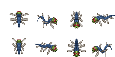 Konchu